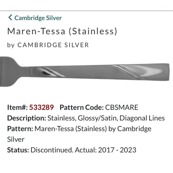 Cambridge Silver Maren-Tessa Stainless Steel Spoons Set (7) - Picture 1 of 3